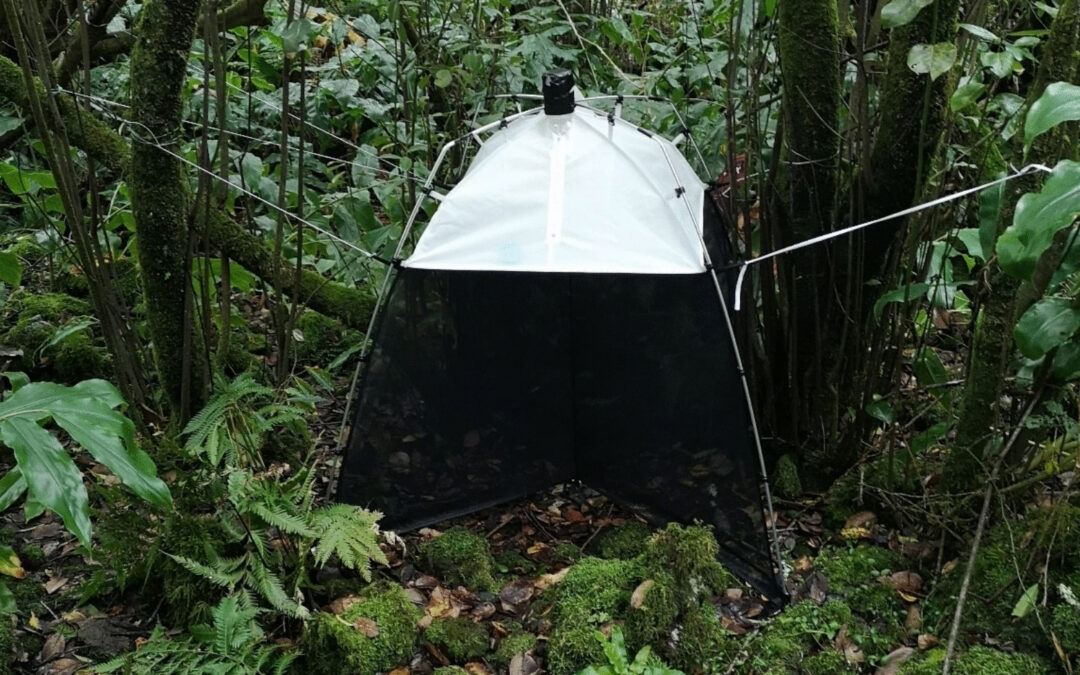 Submit your paper! Plot-based Surveys of Island Biodiversity – the BIOMONI-PLOT Network